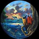 /album/fotogaleria/planeta-jpg/